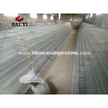 Automatic Laying Farm Cage For Quail And Water System Wholesale